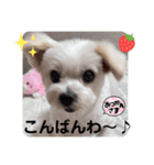 めりる20240907（個別スタンプ：3）