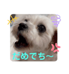 めりる20240907（個別スタンプ：5）