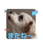 めりる20240907（個別スタンプ：8）