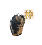 ブチャ猫ジジぃのひとりごと（個別スタンプ：19）
