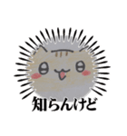 トラ猫イラスト（個別スタンプ：9）