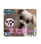 めりる202409071120（個別スタンプ：6）