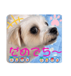めりる202409071120（個別スタンプ：7）