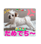 めりる202409071120（個別スタンプ：8）
