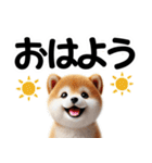 柴犬♡デカ文字スタンプ（個別スタンプ：1）