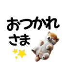 柴犬♡デカ文字スタンプ（個別スタンプ：13）