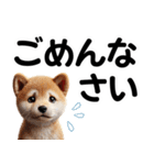 柴犬♡デカ文字スタンプ（個別スタンプ：23）