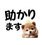 柴犬♡デカ文字スタンプ（個別スタンプ：35）