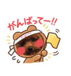トイプードル家族スタンプ（個別スタンプ：1）