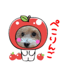 トイプードル家族スタンプ（個別スタンプ：9）