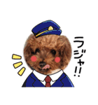 トイプードル家族スタンプ（個別スタンプ：16）