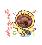 トイプードル家族スタンプ（個別スタンプ：17）