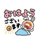 トイプードル家族スタンプ（個別スタンプ：32）