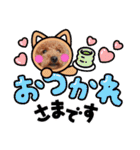 トイプードル家族スタンプ（個別スタンプ：39）