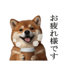 肥犬【毎日使える】（個別スタンプ：9）