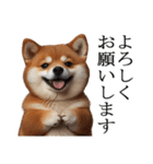 肥犬【毎日使える】（個別スタンプ：14）