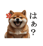 肥犬【毎日使える】（個別スタンプ：36）