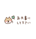 柴犬（毎日使える敬語）（個別スタンプ：27）