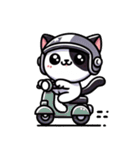 猫ちゃんの毎日300（個別スタンプ：30）