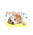 ロハレティ（個別スタンプ：8）