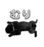ぷーたろ〜2（個別スタンプ：8）