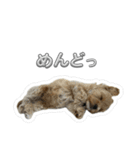 ぷーたろ〜2（個別スタンプ：21）