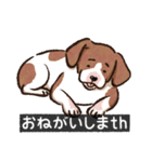 犬でth（いぬです）（個別スタンプ：3）