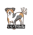 犬でth（いぬです）（個別スタンプ：4）