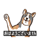 犬でth（いぬです）（個別スタンプ：5）