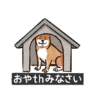 犬でth（いぬです）（個別スタンプ：6）