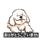 犬でth（いぬです）（個別スタンプ：8）