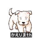 犬でth（いぬです）（個別スタンプ：10）