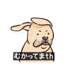 犬でth（いぬです）（個別スタンプ：11）