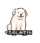 犬でth（いぬです）（個別スタンプ：15）