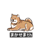 犬でth（いぬです）（個別スタンプ：16）