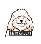 犬でth（いぬです）（個別スタンプ：17）