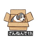 犬でth（いぬです）（個別スタンプ：18）