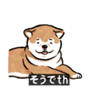 犬でth（いぬです）（個別スタンプ：19）