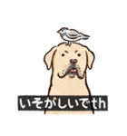 犬でth（いぬです）（個別スタンプ：20）