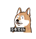 犬でth（いぬです）（個別スタンプ：24）