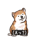 犬でth（いぬです）（個別スタンプ：31）