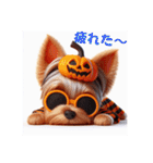 かわいい3Dヨーキーのハロウィーン（個別スタンプ：15）