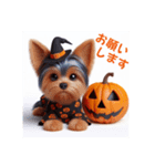 かわいい3Dヨーキーのハロウィーン（個別スタンプ：17）