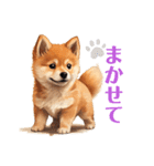 柴犬さんず（個別スタンプ：12）