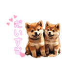 柴犬さんず（個別スタンプ：15）