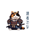 毎日使える侍猫【ねこ、かわいい、連絡】（個別スタンプ：12）