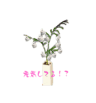 未来の生活（個別スタンプ：1）