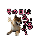 柴すずスタンぷぅ4（個別スタンプ：15）