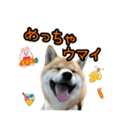 柴すずスタンぷぅ4（個別スタンプ：17）