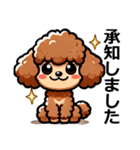 トイプードルカプリコ（敬語）（個別スタンプ：1）